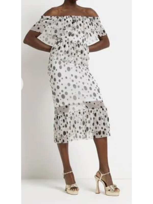 ROCHIE AALBA CU BULINE DALMAȚIAN 