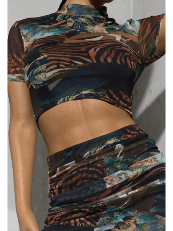 TOP IMPRIMARE ABSTRACT 