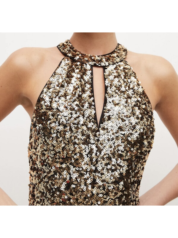 ROCHIE  LUNGA CU PAIETE