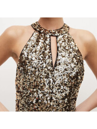 ROCHIE  LUNGA CU PAIETE