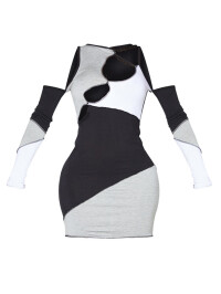 ROCHIE DECUPATA IN PANOURI 