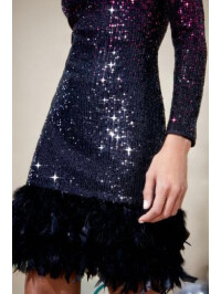 ROCHIE MIDI CU PAIETE SI PENE