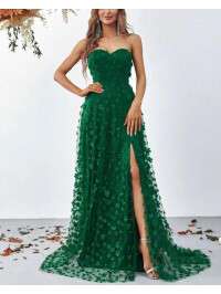 ROCHIE LUNGA CU CRAPATURA